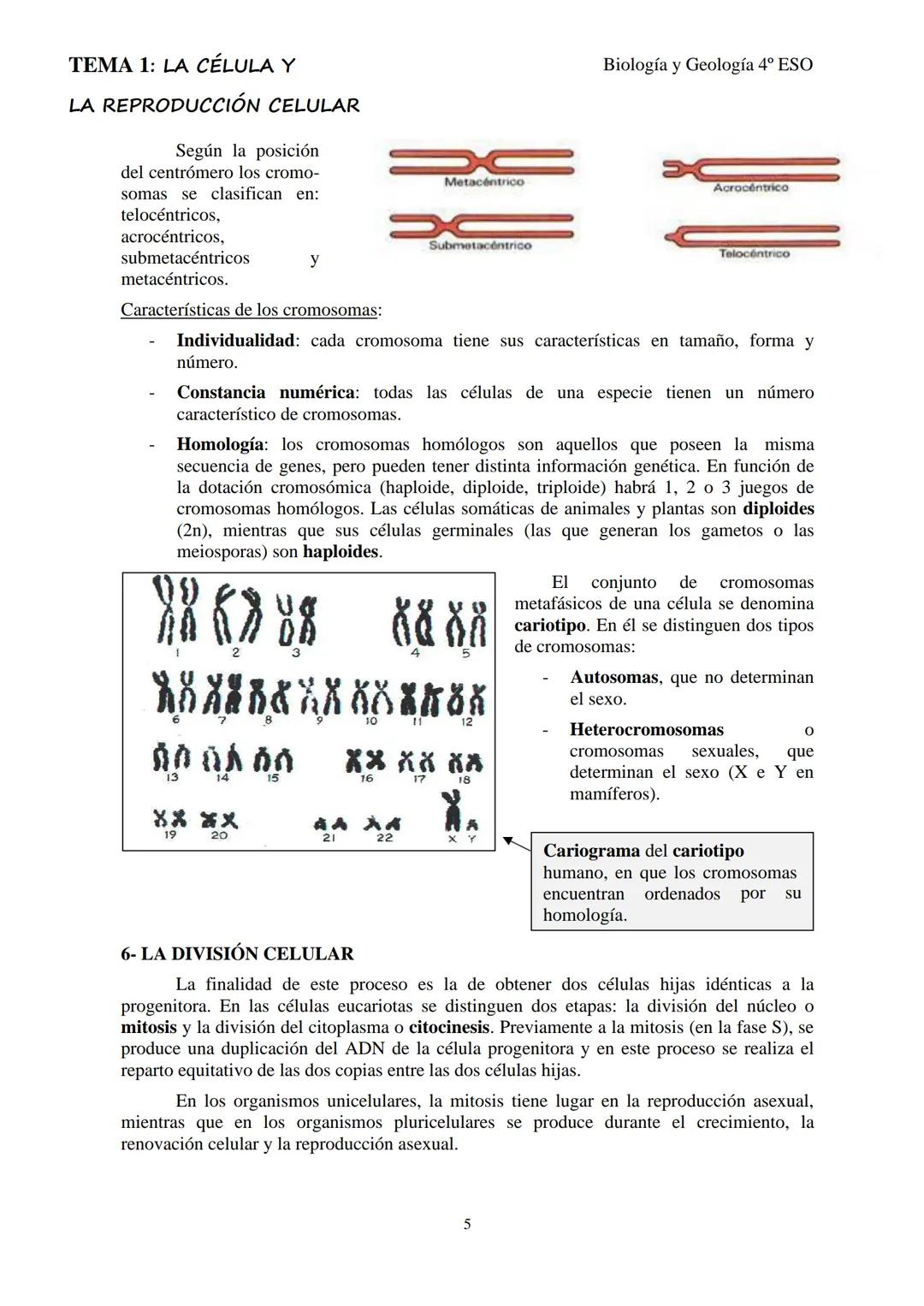 # TEMA 1: LA CÉLULA Y

# LA REPRODUCCIÓN CELULAR

Biología y Geología 4º ESO

## 1- LA TEORÍA CELULAR

La célula se puede considerar la estr