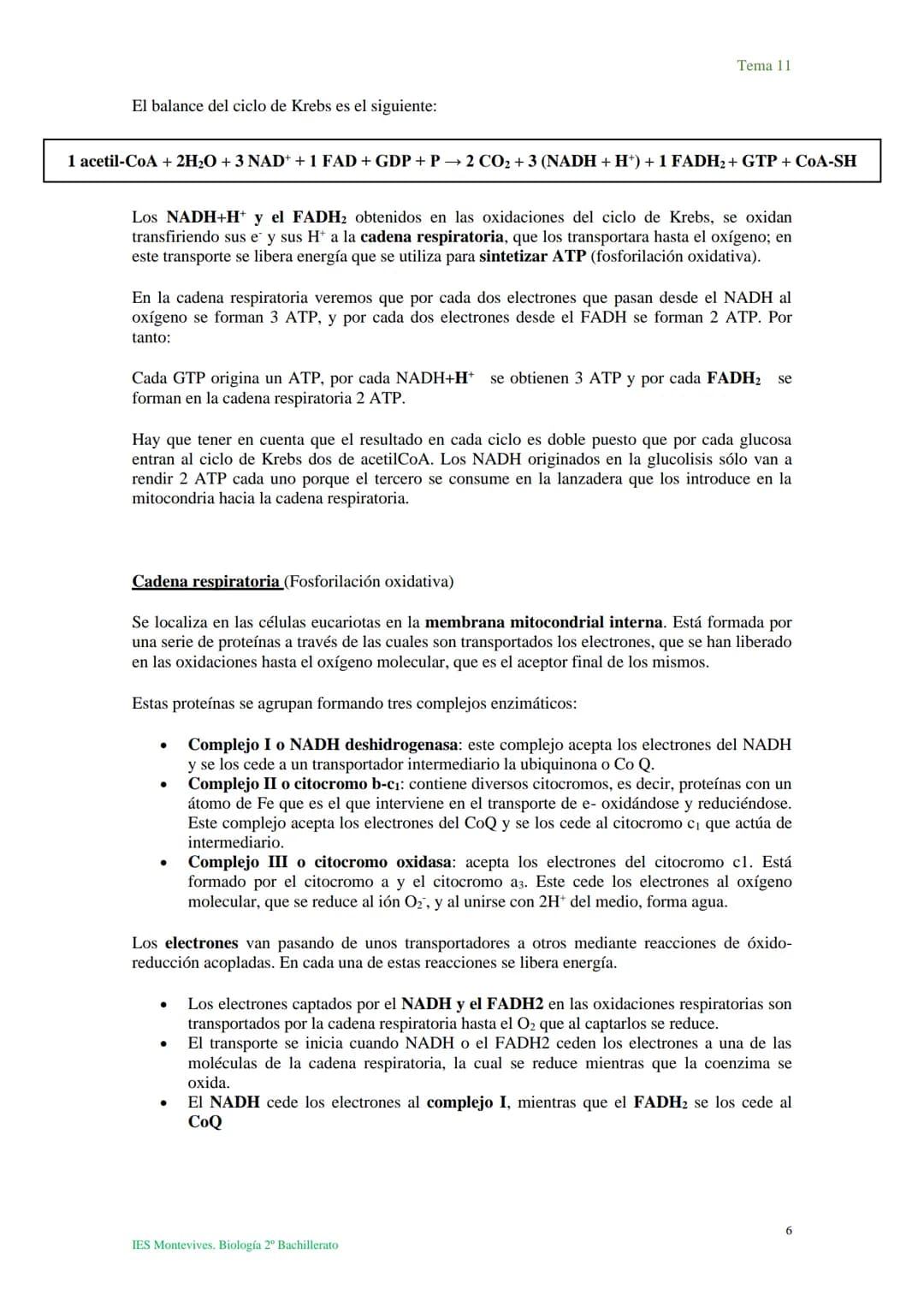 Tema 11 Metabolismo celular. Catabolismo
I. Introducción al catabolismo
Como hemos visto, el catabolismo es un
conjunto de reacciones oxidat