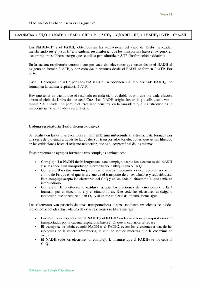 Tema 11 Metabolismo celular. Catabolismo
I. Introducción al catabolismo
Como hemos visto, el catabolismo es un
conjunto de reacciones oxidat