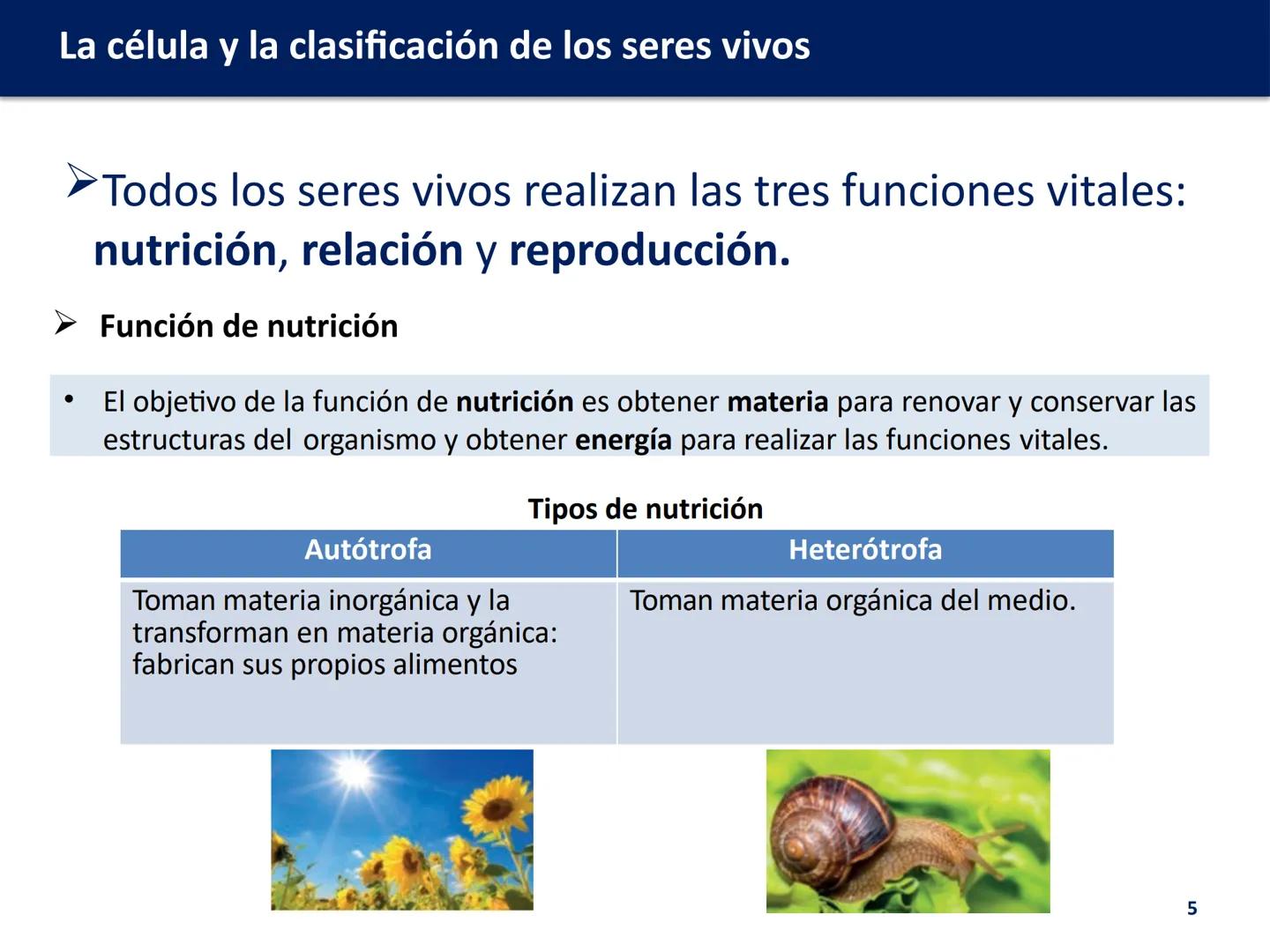 U.D. 1: LA CÉLULA Y LA
CLASIFICACIÓN DE LOS
SERES VIVOS
Biología y Geología --- OCR Start ---
La célula y la clasificación de los seres vivo