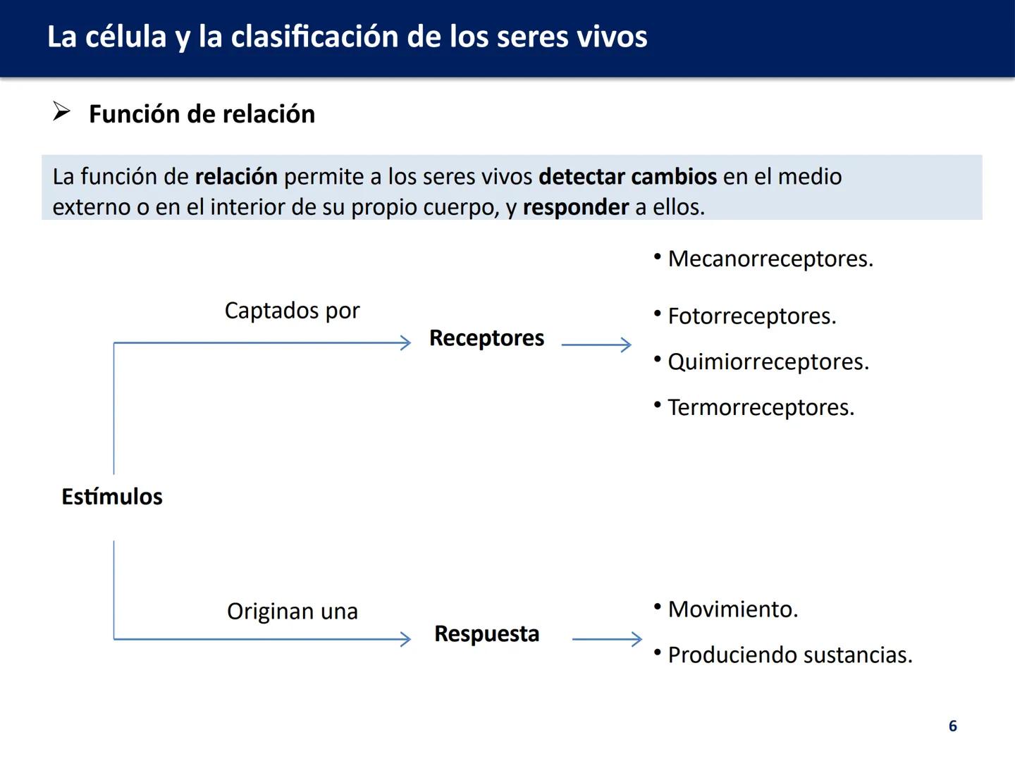 U.D. 1: LA CÉLULA Y LA
CLASIFICACIÓN DE LOS
SERES VIVOS
Biología y Geología --- OCR Start ---
La célula y la clasificación de los seres vivo