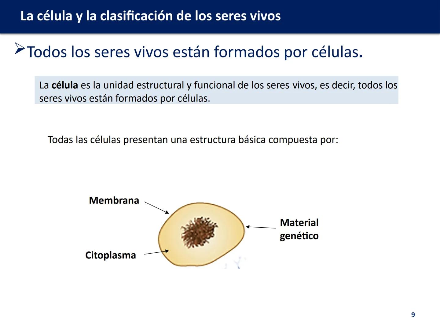 U.D. 1: LA CÉLULA Y LA
CLASIFICACIÓN DE LOS
SERES VIVOS
Biología y Geología --- OCR Start ---
La célula y la clasificación de los seres vivo
