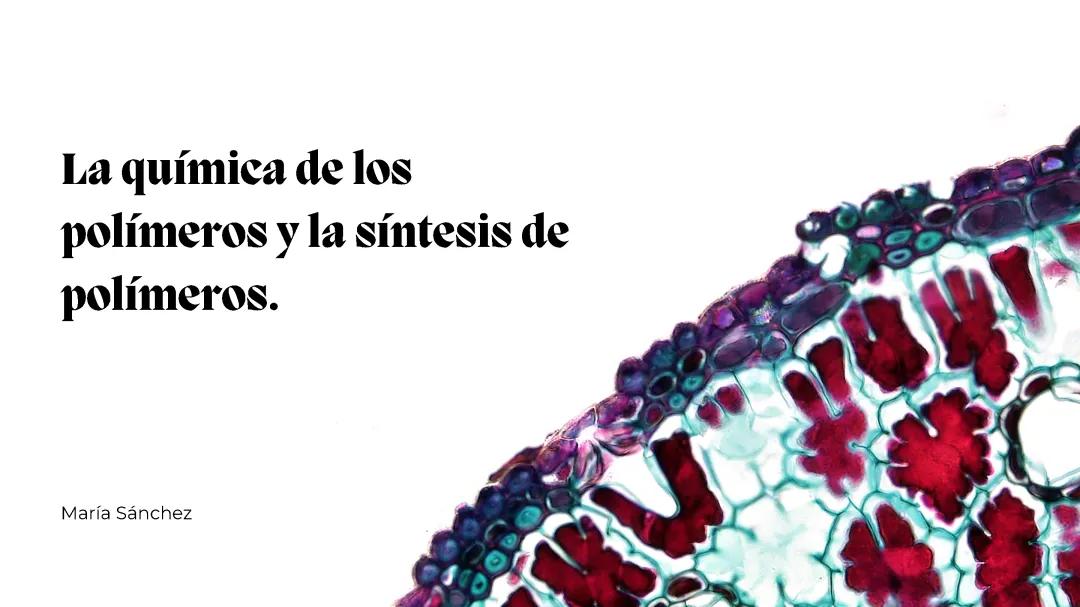 Química de los Polímeros y la Síntesis de Polímeros