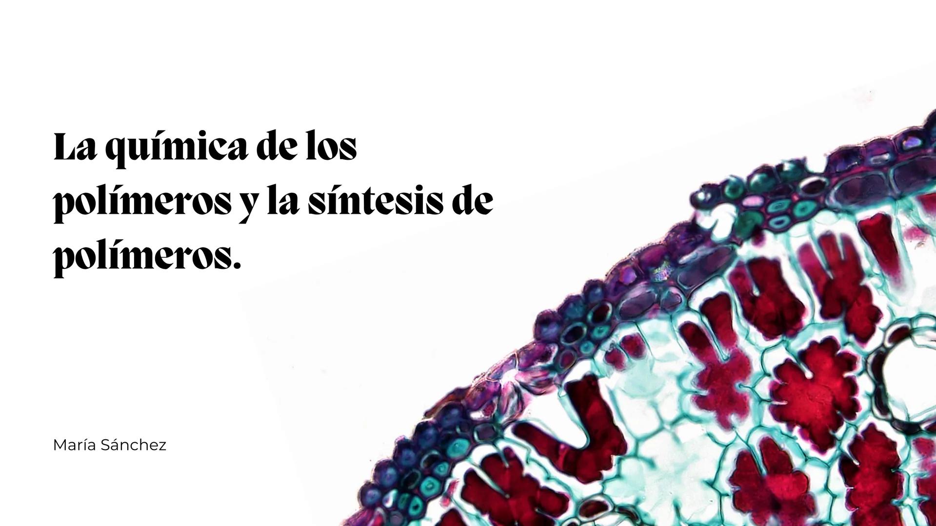 La química de los
polímeros y la síntesis de
polímeros.
María Sánchez 0%
Contenidos.
1
Introducción.
3
Síntesis de
polímeros.
2
Estructura y