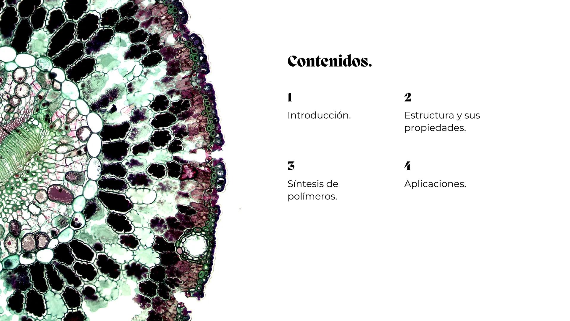 La química de los
polímeros y la síntesis de
polímeros.
María Sánchez 0%
Contenidos.
1
Introducción.
3
Síntesis de
polímeros.
2
Estructura y