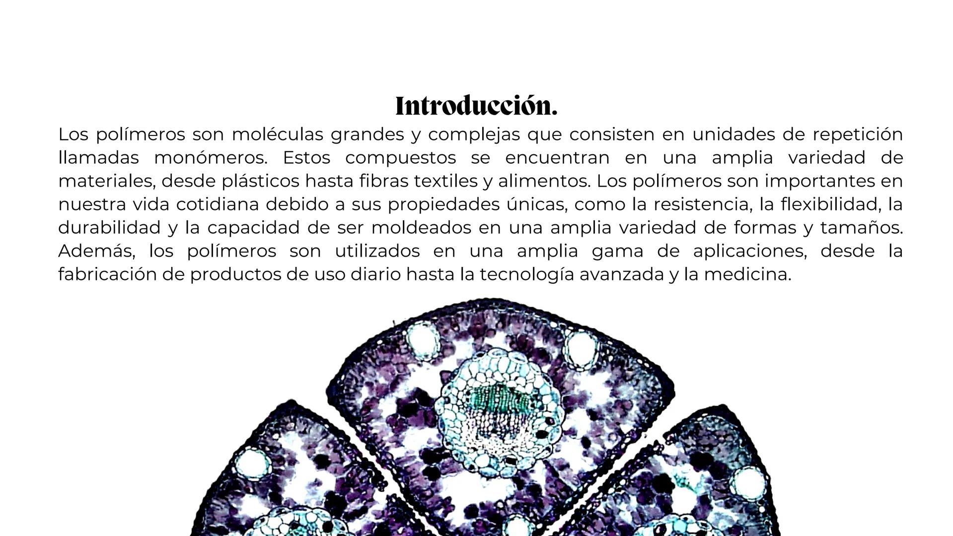 La química de los
polímeros y la síntesis de
polímeros.
María Sánchez 0%
Contenidos.
1
Introducción.
3
Síntesis de
polímeros.
2
Estructura y