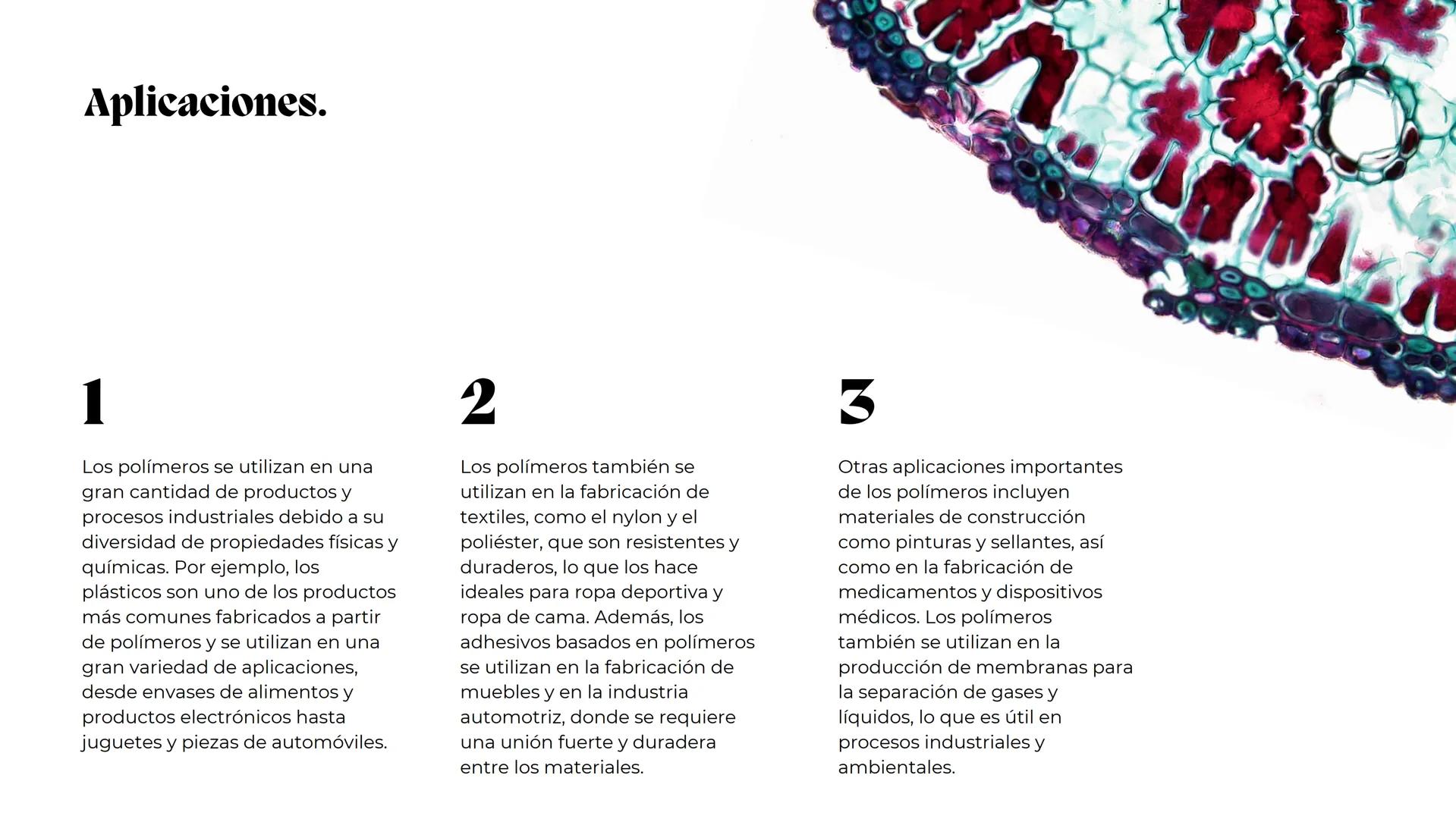 La química de los
polímeros y la síntesis de
polímeros.
María Sánchez 0%
Contenidos.
1
Introducción.
3
Síntesis de
polímeros.
2
Estructura y