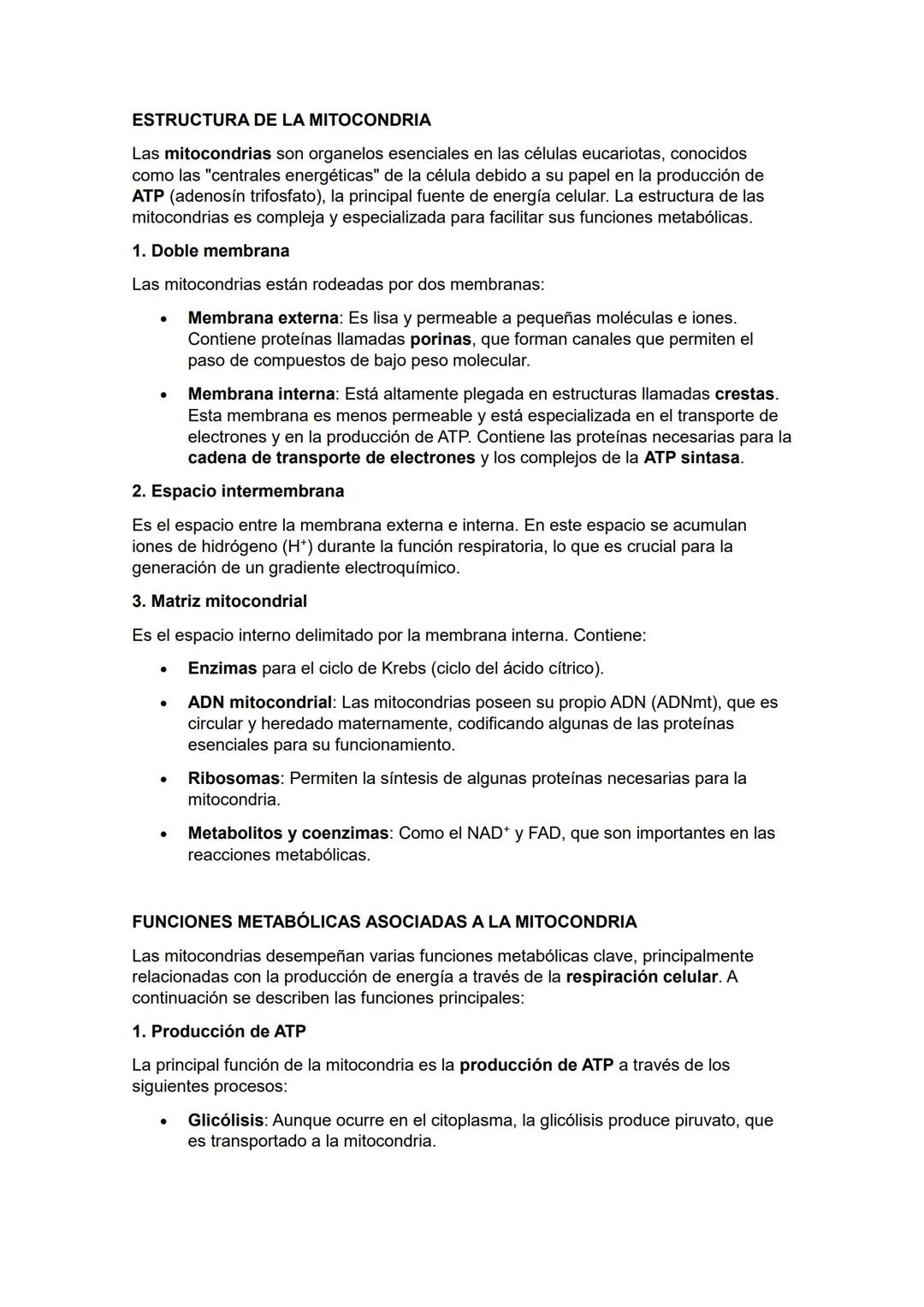 ESTRUCTURA DE LA MITOCONDRIA
Las mitocondrias son organelos esenciales en las células eucariotas, conocidos
como las "centrales energéticas"