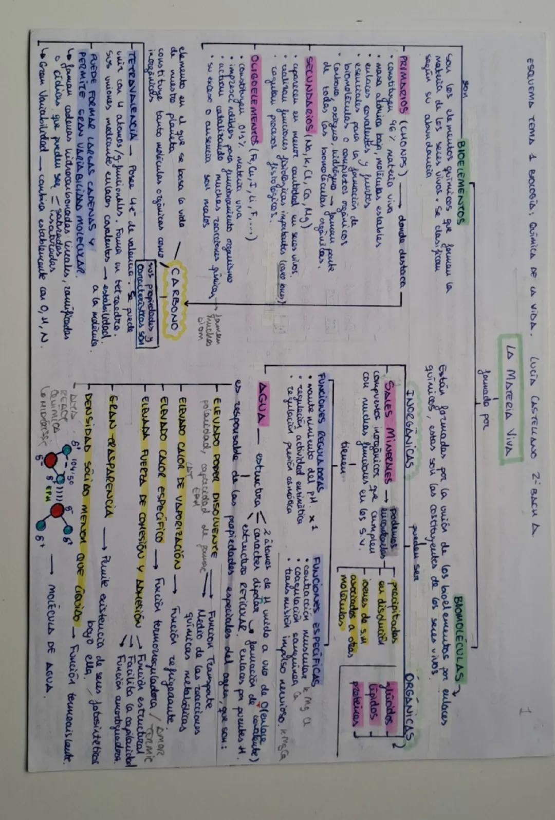 ESQUEMA TEMA 1 BIOLOGIA: QUIMICA DE LA VIDA.

son
BIOELEMENTOS
son los elementos químicos que forman la
materia de los seres vivos. Se clasi