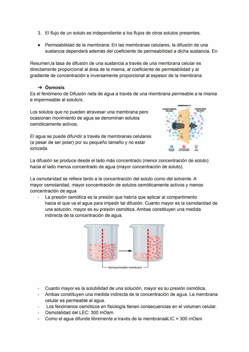 TEMA 2: TRANSPORTE A TRAVÉS DE LA MEMBRANA
→ Transporte a través de la membrana celular
Siempre existe un continuo intercambio de materiales