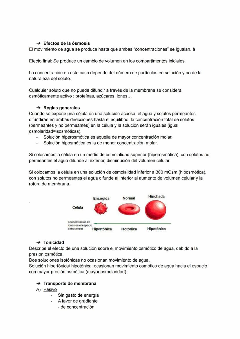 TEMA 2: TRANSPORTE A TRAVÉS DE LA MEMBRANA
→ Transporte a través de la membrana celular
Siempre existe un continuo intercambio de materiales