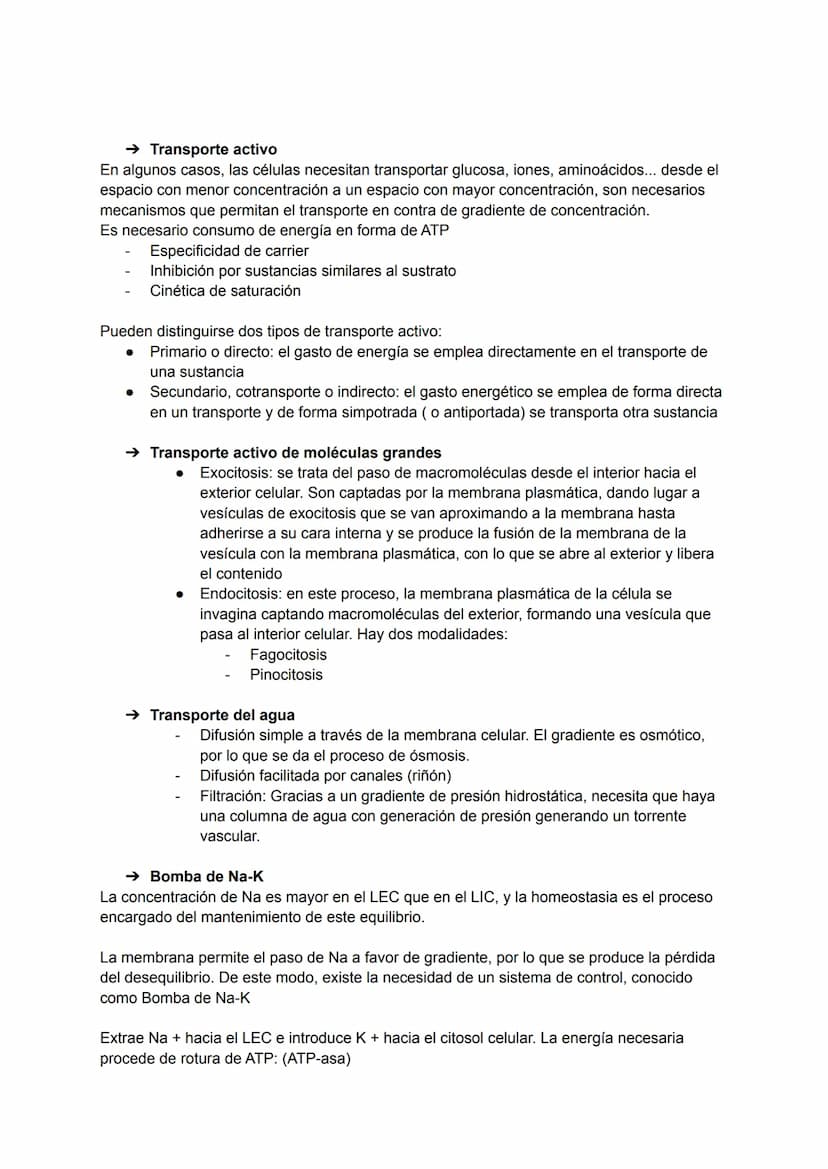 TEMA 2: TRANSPORTE A TRAVÉS DE LA MEMBRANA
→ Transporte a través de la membrana celular
Siempre existe un continuo intercambio de materiales