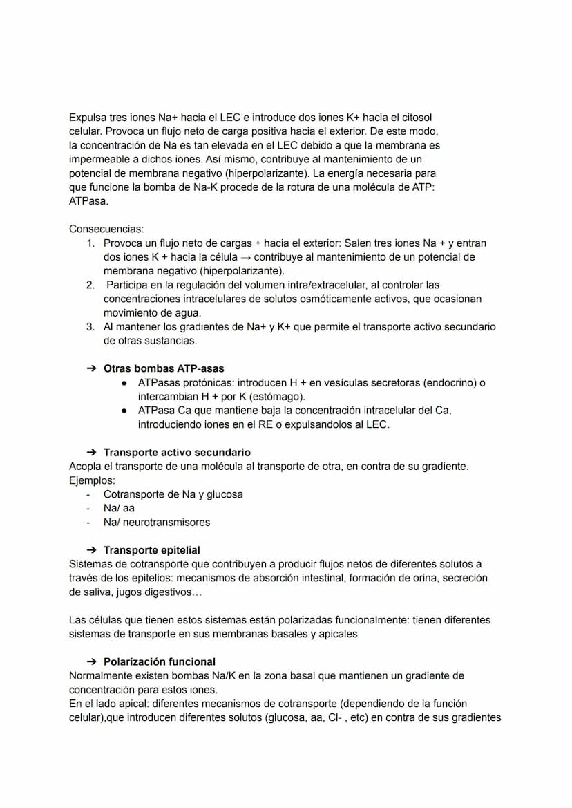 TEMA 2: TRANSPORTE A TRAVÉS DE LA MEMBRANA
→ Transporte a través de la membrana celular
Siempre existe un continuo intercambio de materiales