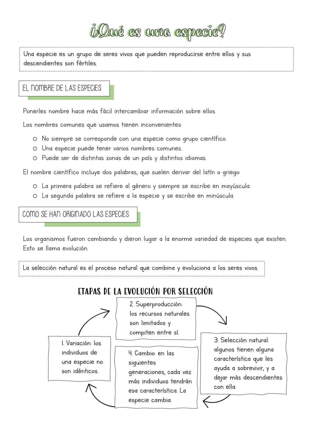 Muchos y muy diversos
La biodiversidad es la gran variedad de formas de vida que existe y ha existido.
¿QUÉ ES CLASIFICAR?
La clasificación 