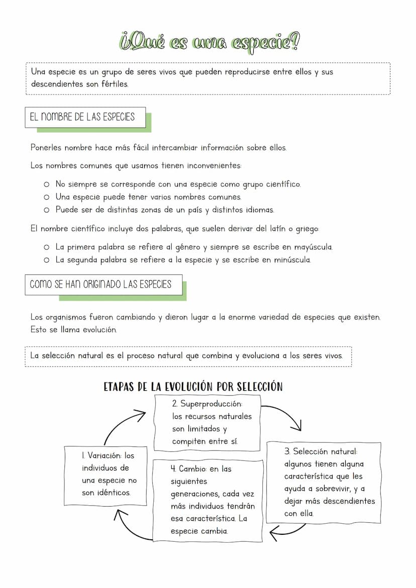 Muchos y muy diversos
La biodiversidad es la gran variedad de formas de vida que existe y ha existido.
¿QUÉ ES CLASIFICAR?
La clasificación 