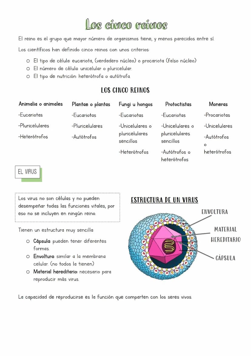 Muchos y muy diversos
La biodiversidad es la gran variedad de formas de vida que existe y ha existido.
¿QUÉ ES CLASIFICAR?
La clasificación 