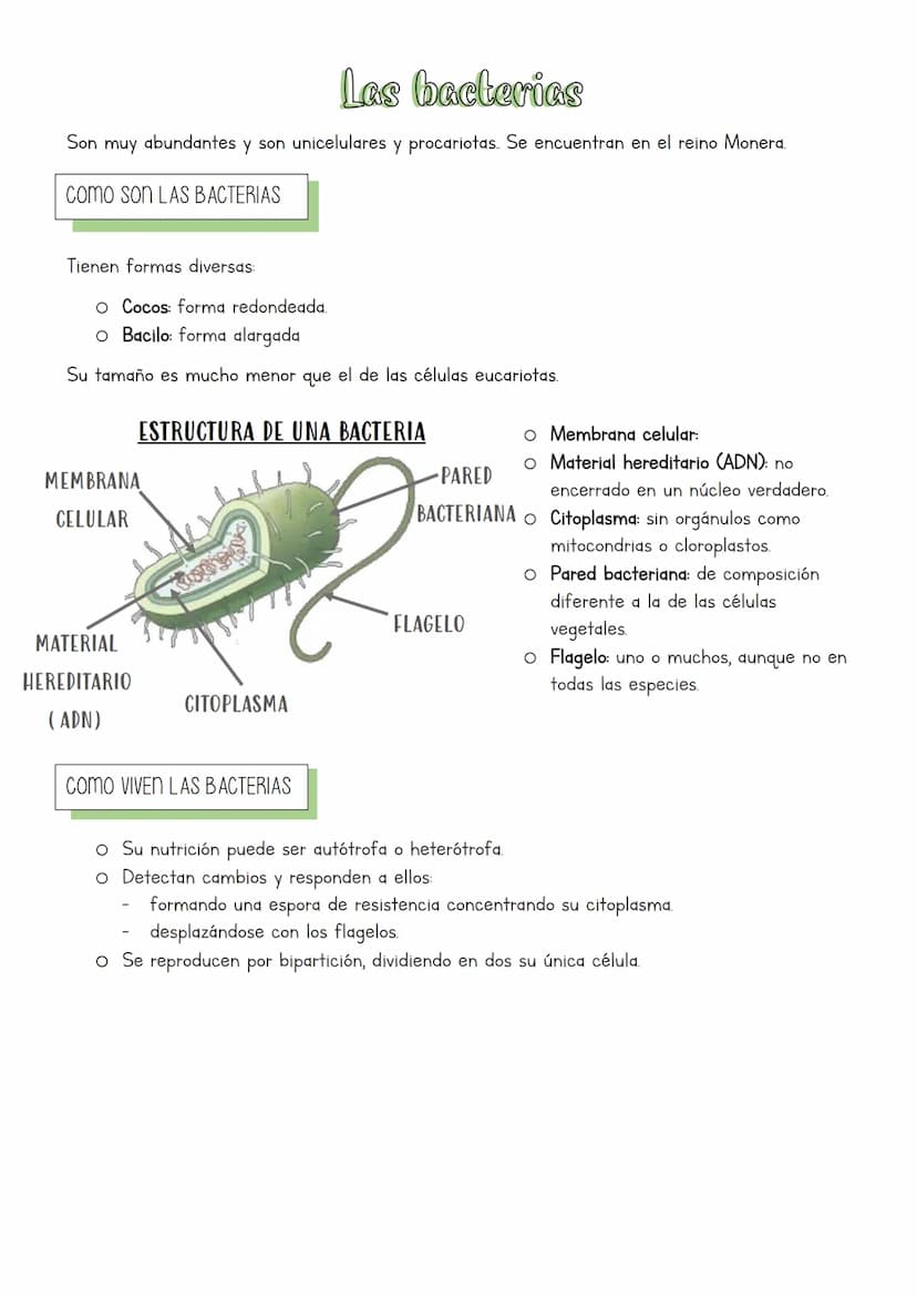 Muchos y muy diversos
La biodiversidad es la gran variedad de formas de vida que existe y ha existido.
¿QUÉ ES CLASIFICAR?
La clasificación 