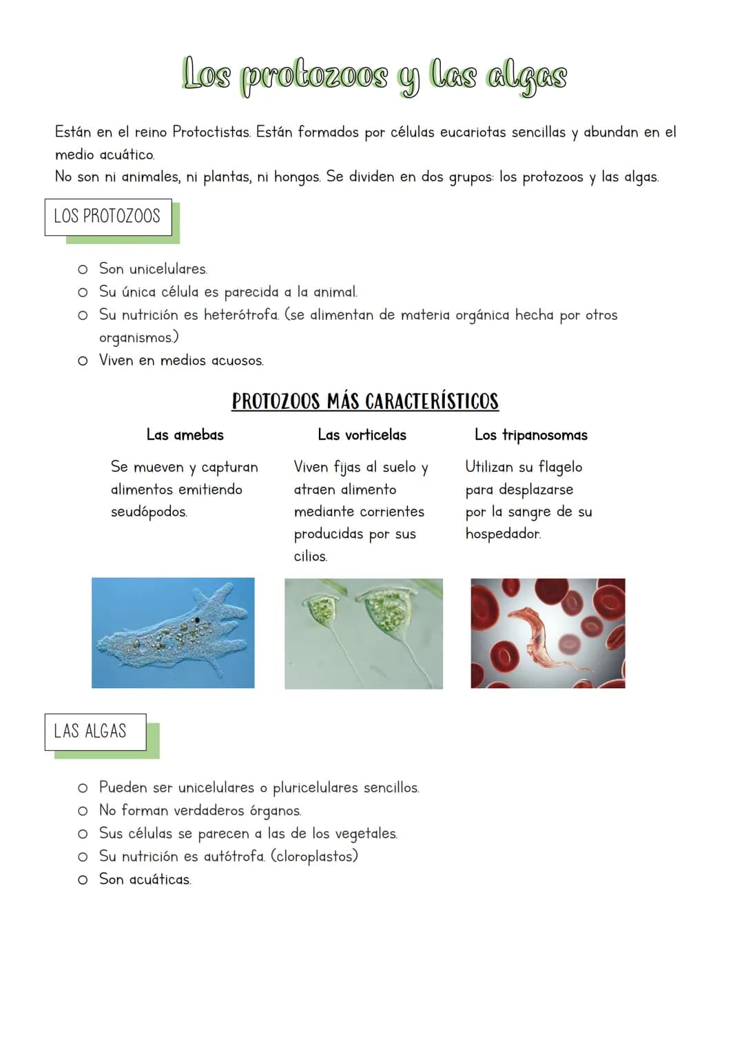 Muchos y muy diversos
La biodiversidad es la gran variedad de formas de vida que existe y ha existido.
¿QUÉ ES CLASIFICAR?
La clasificación 