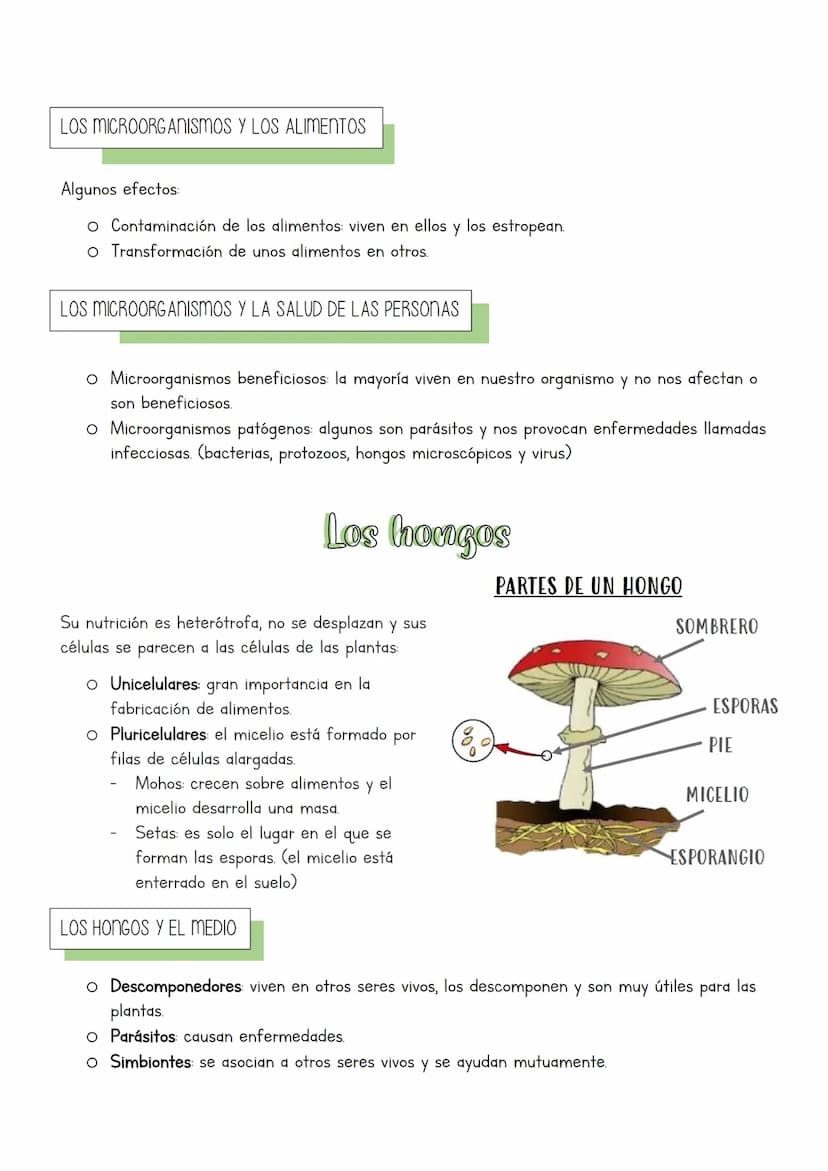 Muchos y muy diversos
La biodiversidad es la gran variedad de formas de vida que existe y ha existido.
¿QUÉ ES CLASIFICAR?
La clasificación 