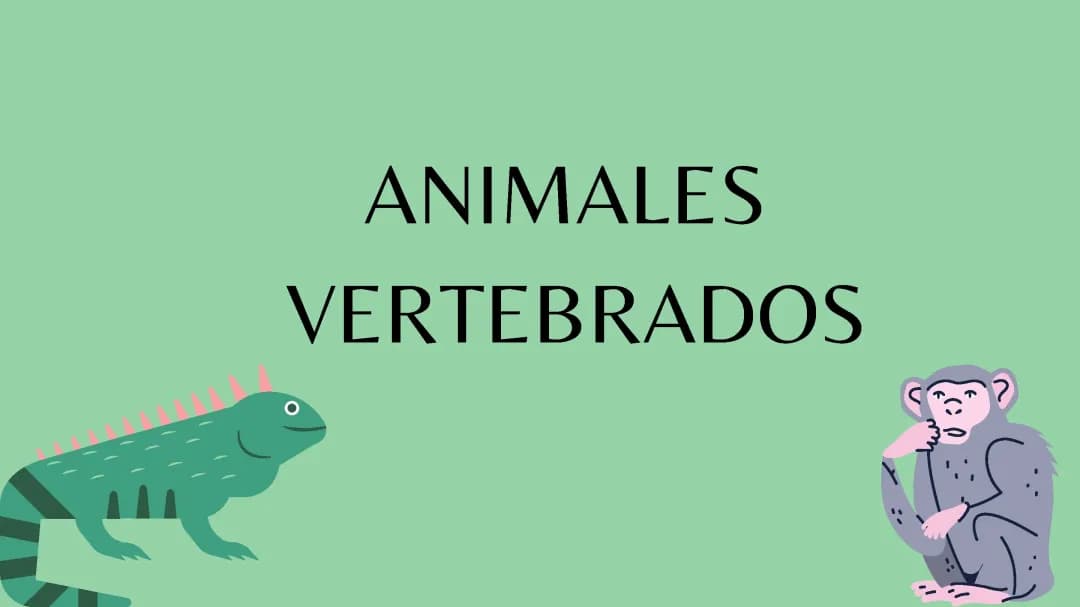 Animales vertebrados ( PECES)