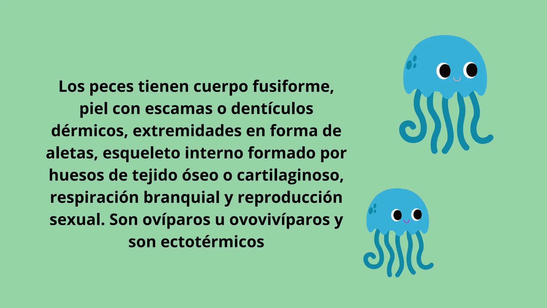 ANIMALES
VERTEBRADOS Los peces son animales
vertebrados acuáticos y con
respiración por branquias. En la mayoría de los peces este
sistema s