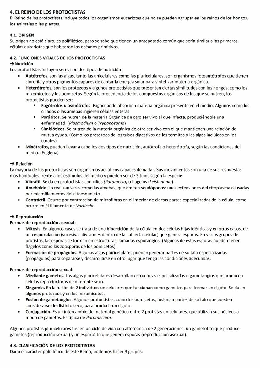 LA CLASIFICACIÓN DE LA VIDA
1. CÓMO SE CLASIFICAN LOS SERES VIVOS
Para estudiar y comprender las millones de especies que componen la biodiv