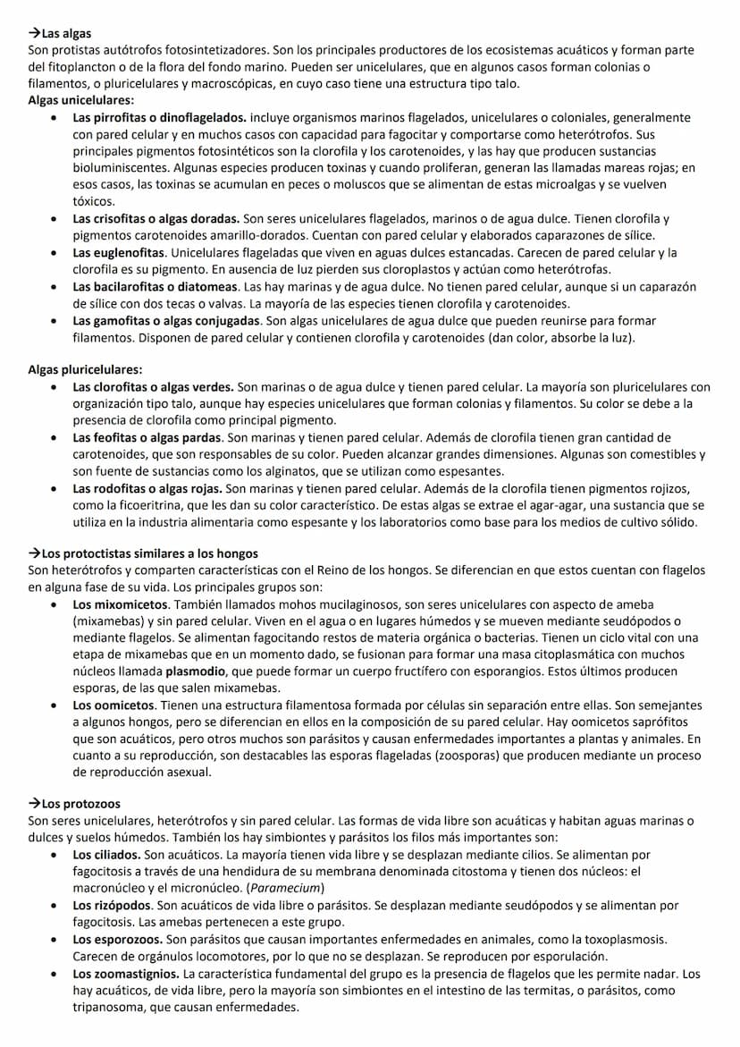 LA CLASIFICACIÓN DE LA VIDA
1. CÓMO SE CLASIFICAN LOS SERES VIVOS
Para estudiar y comprender las millones de especies que componen la biodiv