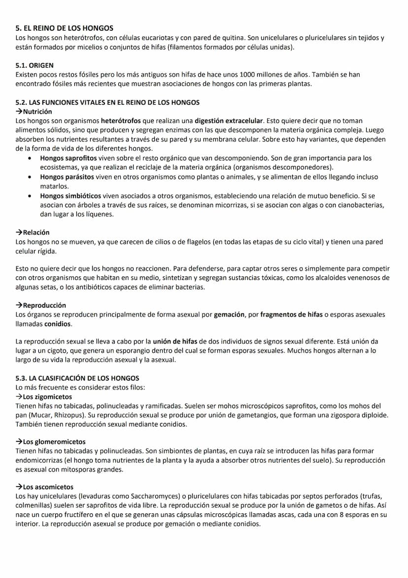 LA CLASIFICACIÓN DE LA VIDA
1. CÓMO SE CLASIFICAN LOS SERES VIVOS
Para estudiar y comprender las millones de especies que componen la biodiv