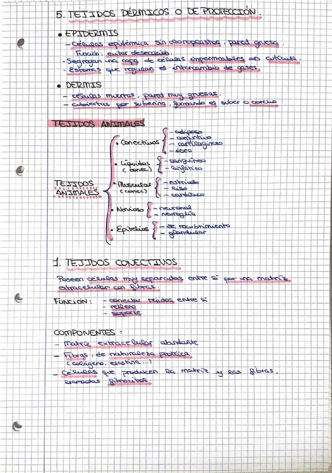# HISTOLOGÍA
Def: Tejido: conjunto de células especializadas en una función.
*   Histologia: rama biologia que estudia eos tejidos.
# DIFERE