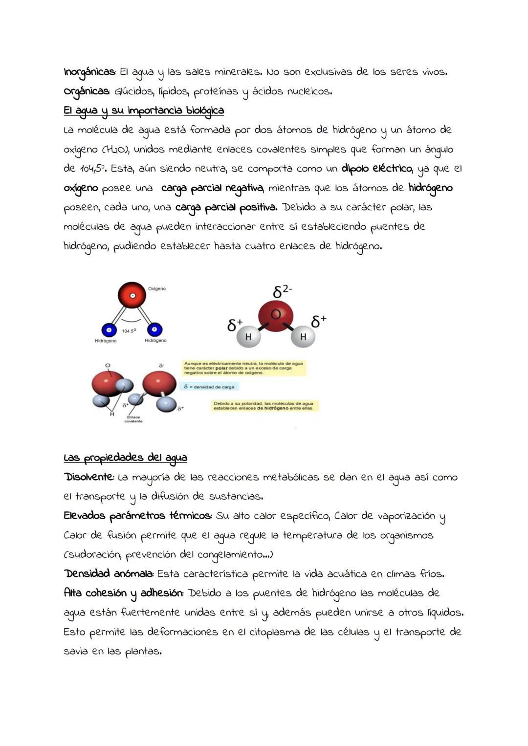 Composición química
de los seres vivos.
Bioelementos.
Biomoléculas.
El agua y su
importancia biológica.
Sales minerales. Composición química