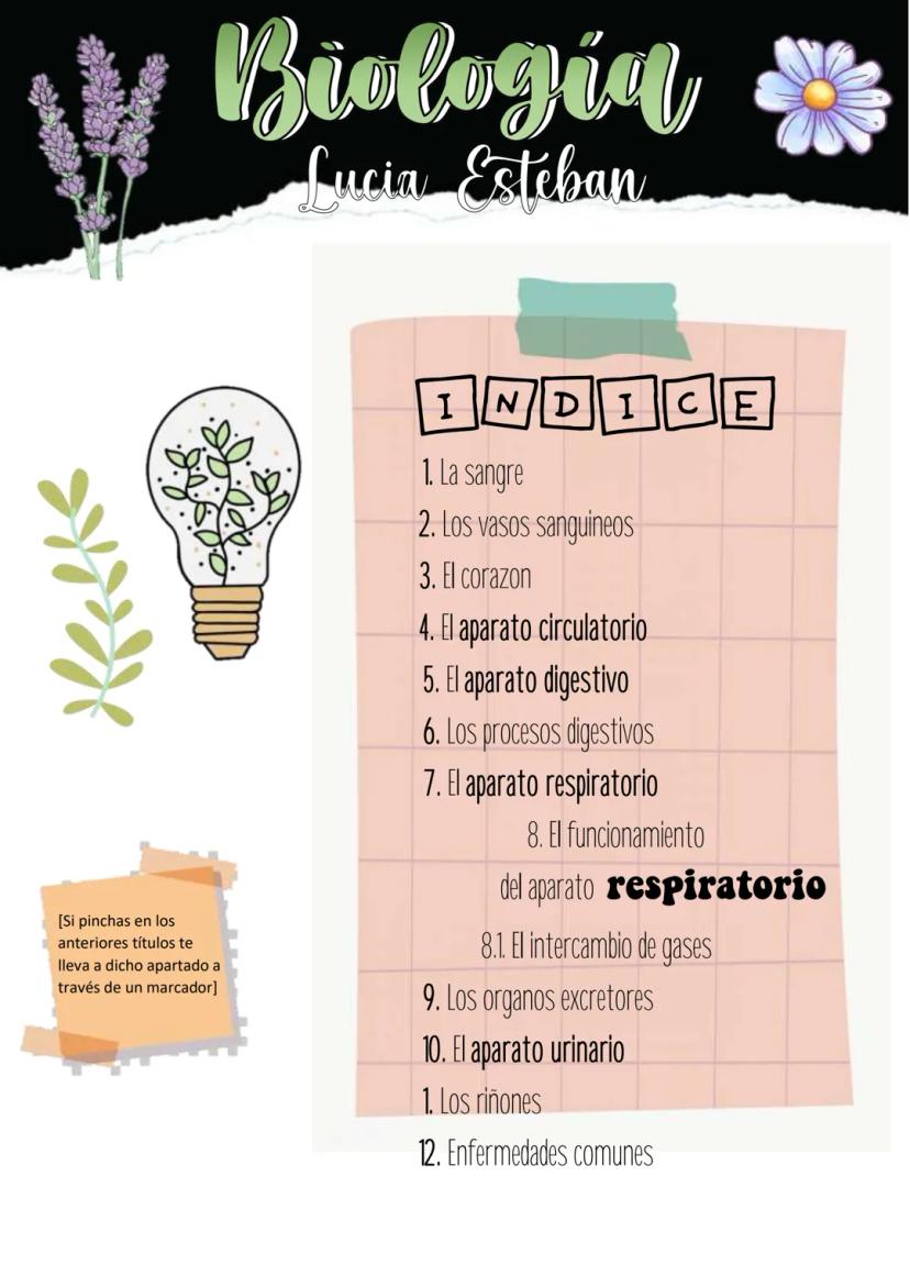 Biología
Lucia Esteban
[Si pinchas en los
anteriores títulos te
lleva a dicho apartado a
través de un marcador]
INDICE
1. La sangre
2. Los v