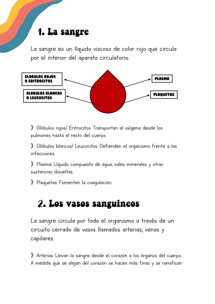 Biología
Lucia Esteban
[Si pinchas en los
anteriores títulos te
lleva a dicho apartado a
través de un marcador]
INDICE
1. La sangre
2. Los v