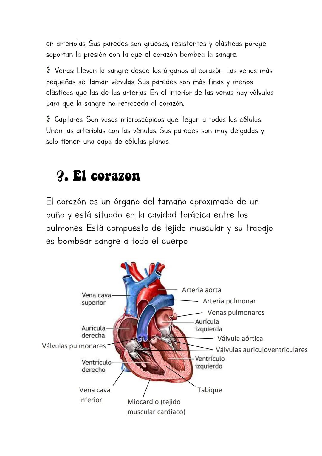 Biología
Lucia Esteban
[Si pinchas en los
anteriores títulos te
lleva a dicho apartado a
través de un marcador]
INDICE
1. La sangre
2. Los v