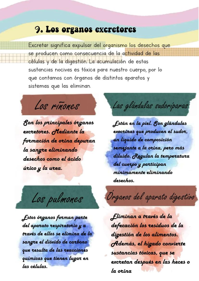 Biología
Lucia Esteban
[Si pinchas en los
anteriores títulos te
lleva a dicho apartado a
través de un marcador]
INDICE
1. La sangre
2. Los v