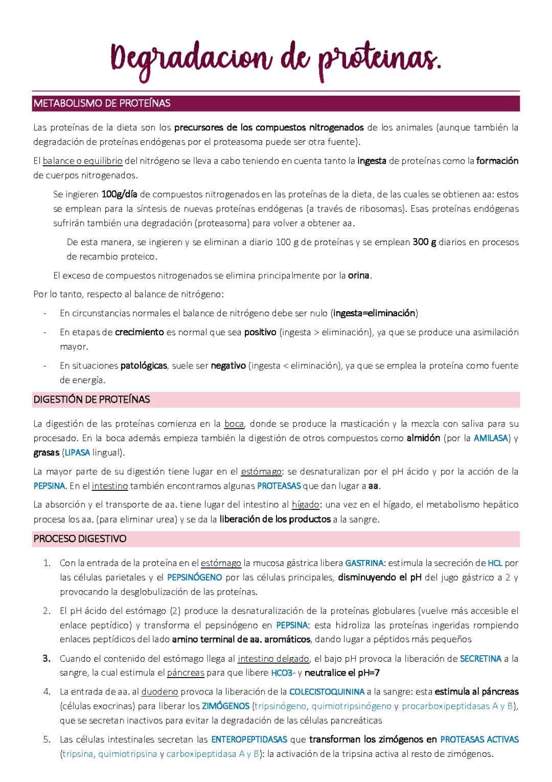 Proceso de Degradación de las Proteínas - Biología 2ºBACH