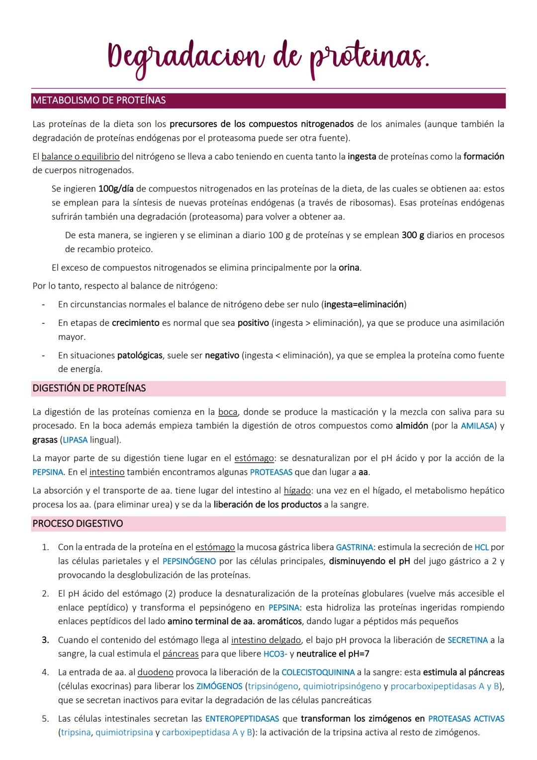Degradacion de proteinas.
METABOLISMO DE PROTEÍNAS
Las proteínas de la dieta son los precursores de los compuestos nitrogenados de los anima
