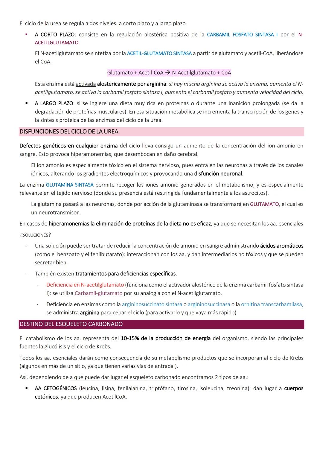 Degradacion de proteinas.
METABOLISMO DE PROTEÍNAS
Las proteínas de la dieta son los precursores de los compuestos nitrogenados de los anima