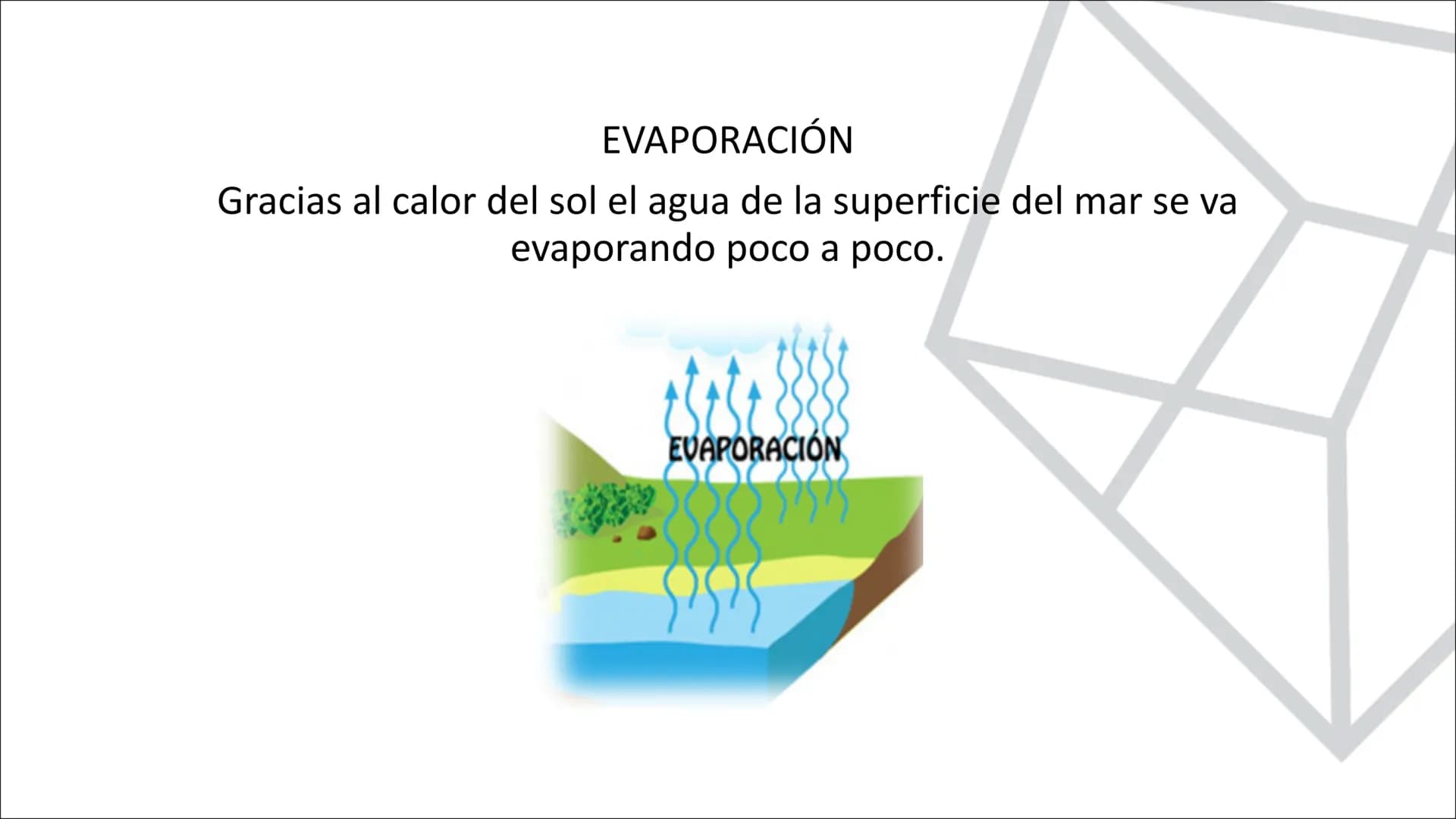TEMA 10.
LA HIDROSFERA
EL CICLO DEL AGUA La hidrosfera es la capa discontinua de la Tierra formada por el conjunto de las
aguas que se encue
