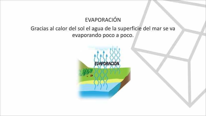TEMA 10.
LA HIDROSFERA
EL CICLO DEL AGUA La hidrosfera es la capa discontinua de la Tierra formada por el conjunto de las
aguas que se encue