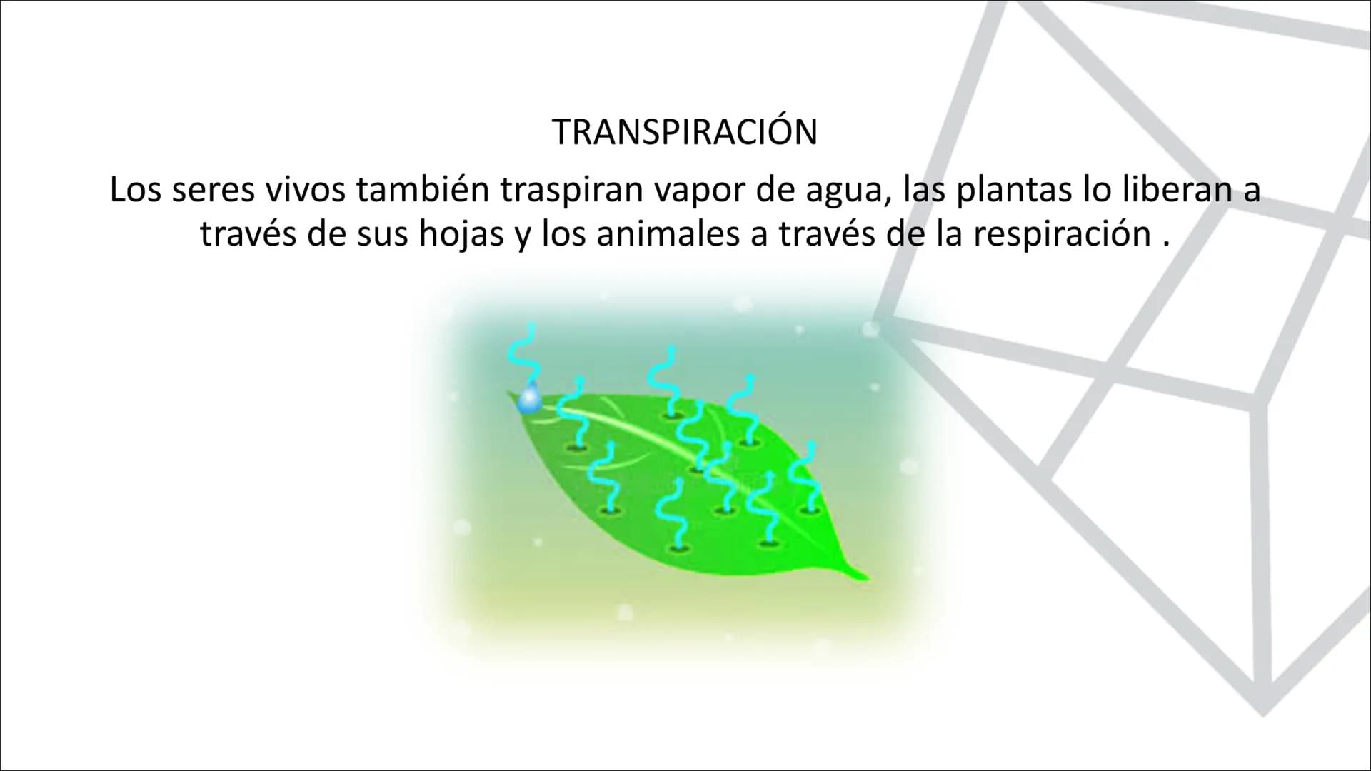 TEMA 10.
LA HIDROSFERA
EL CICLO DEL AGUA La hidrosfera es la capa discontinua de la Tierra formada por el conjunto de las
aguas que se encue