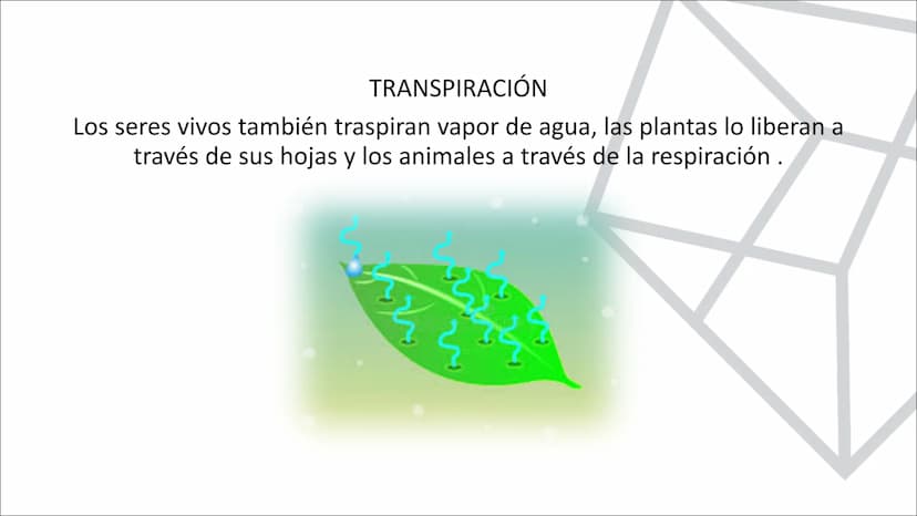 TEMA 10.
LA HIDROSFERA
EL CICLO DEL AGUA La hidrosfera es la capa discontinua de la Tierra formada por el conjunto de las
aguas que se encue
