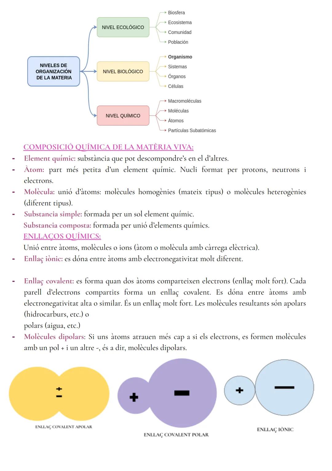 # BIOLOGIA

EL MÈTODE CIENTÍFIC.

- El problema: és planteja en forma de pregunta, aquesta ha de contenir el màxim d'informació
possible.
- 
