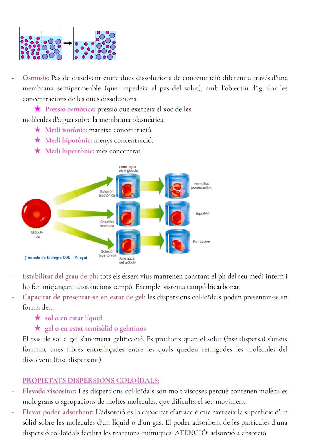 # BIOLOGIA

EL MÈTODE CIENTÍFIC.

- El problema: és planteja en forma de pregunta, aquesta ha de contenir el màxim d'informació
possible.
- 