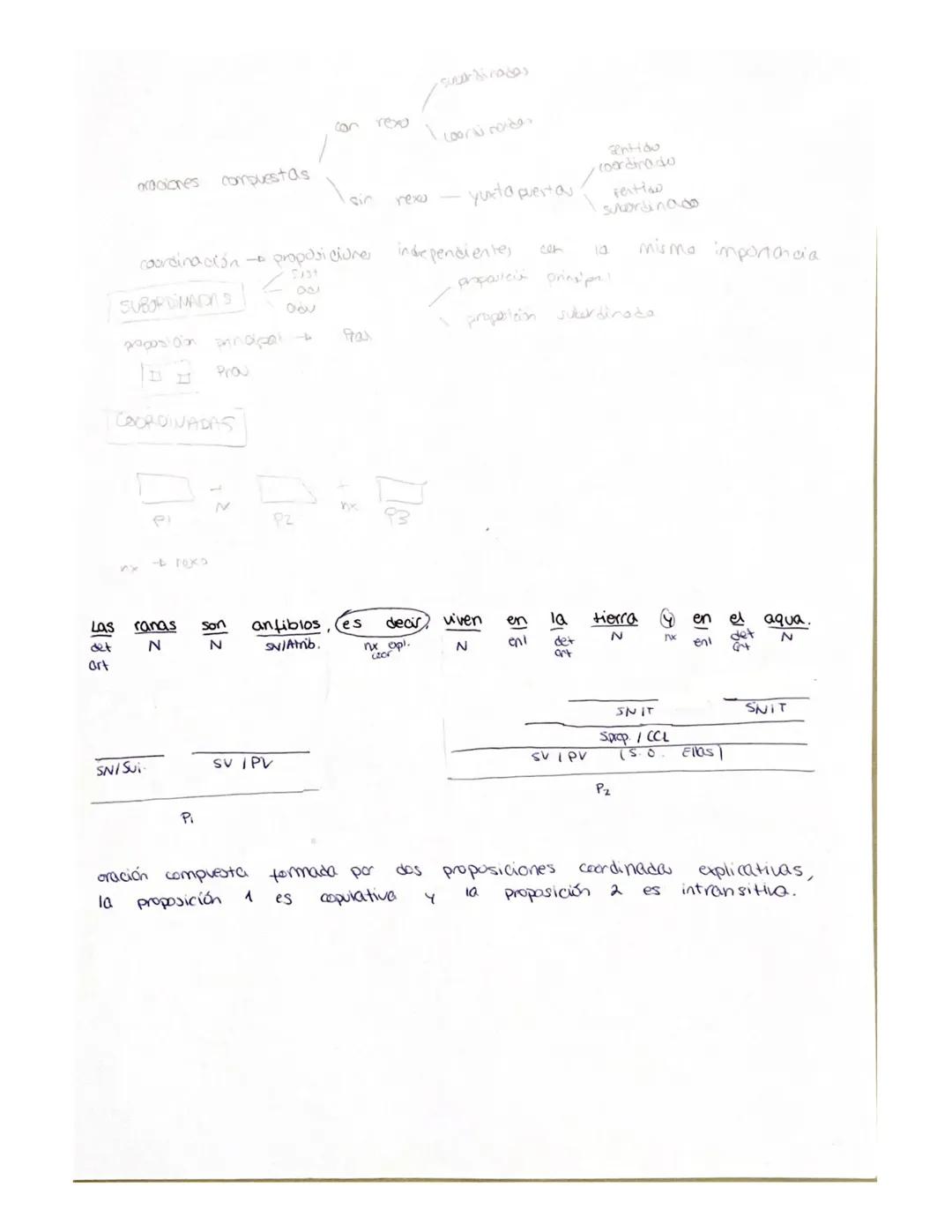 LENGUA T-3
CMS
14
PG 60 0 3
a. Poco trabajador
int
N
SAdi- I
c. i que moneda tan antiqual
det N Lint N
SAS ALY
e. Poco
I det
SN
anter
N
10
e