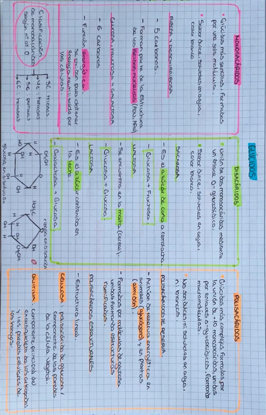 •
MONOSACARIDOS
Grecidas más sencillos, Formadas
por una sola molécula.
• Sabor dulce, solubles en agua,
color blanco
-
-
GLUCIDOS
DISACÁRID