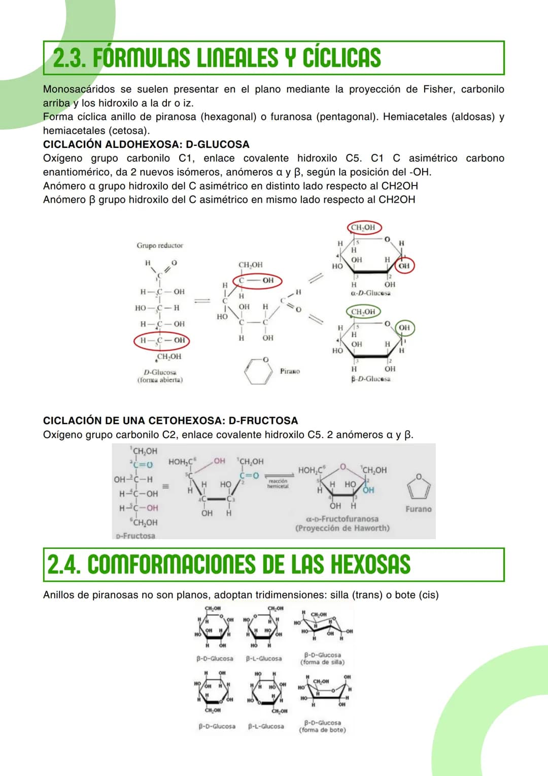 # Tema : 2

# GLÚCIDOS (CH2O)n

## 1.LOS GLÚCIDOS

## 1.1. CARACTERÍSTICAS GENERALES

Los glúcidos son biomoléculas orgánicas compuestas por