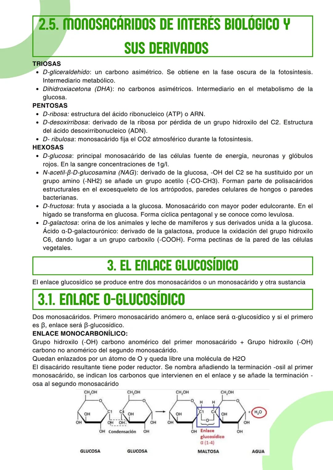 # Tema : 2

# GLÚCIDOS (CH2O)n

## 1.LOS GLÚCIDOS

## 1.1. CARACTERÍSTICAS GENERALES

Los glúcidos son biomoléculas orgánicas compuestas por