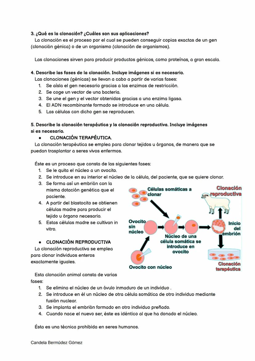 INGENIERÍA GENÉTICA
1. Define ingeniería genética
La ingeniería genética es una serie de procedimientos que sirven para manipular y
traslada