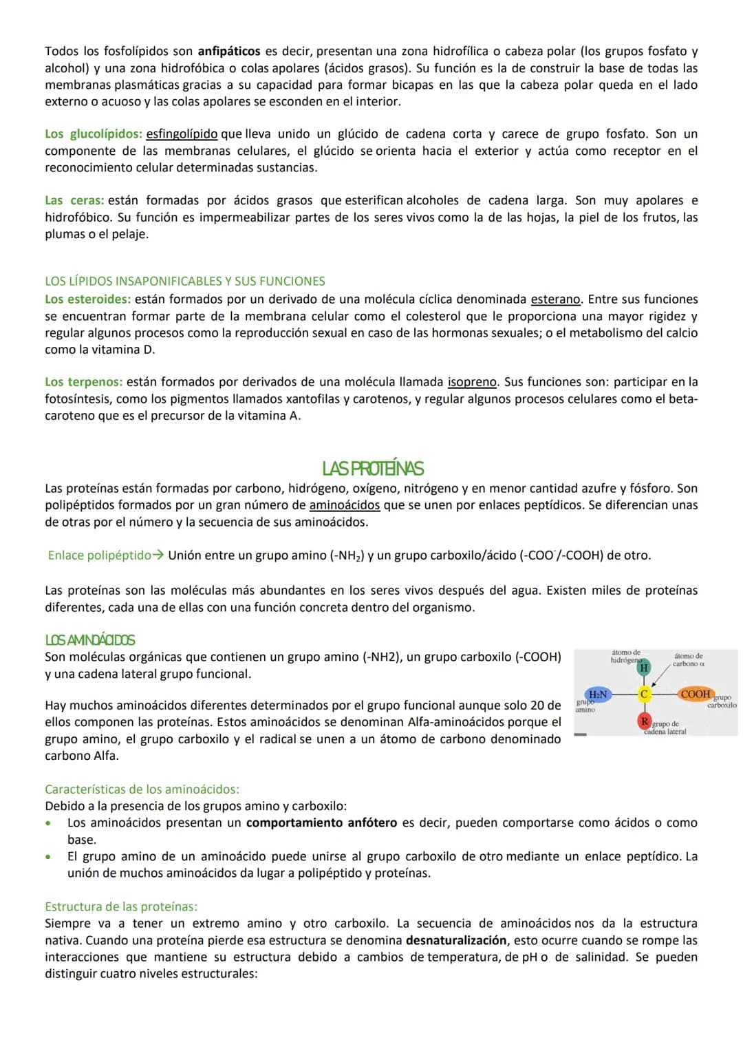 LA COMPOSICIÓN DE LA MATERIA VIVA
Características que define a los seres vivos:
Todos los seres vivos tienen en común 3 características que 