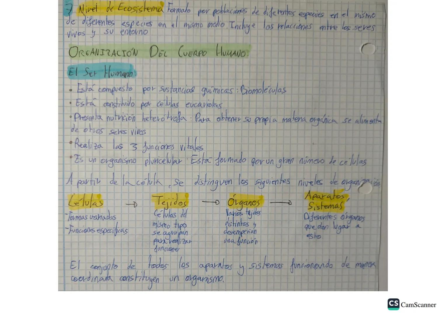 NIVELES DE ORGANIZACIÓN DE LA MATERIA VIVA:
Son los componentes químicos que en los
en estructuras de distinto grado de complejidad
que en l
